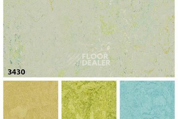 Линолеум Marmoleum Decibel on Order 343035 salsa verde фото 2 | FLOORDEALER